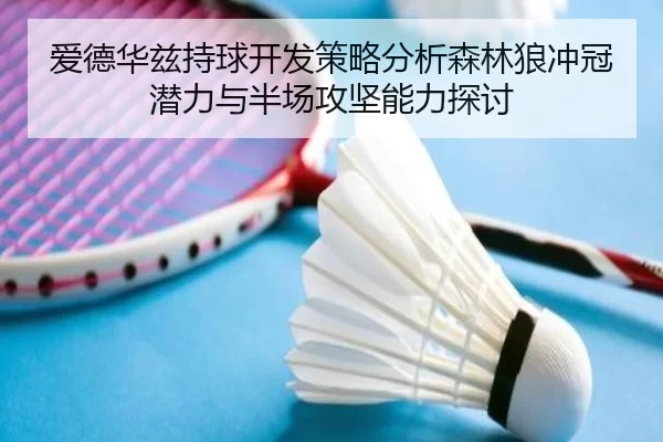 爱德华兹持球开发策略分析森林狼冲冠潜力与半场攻坚能力探讨