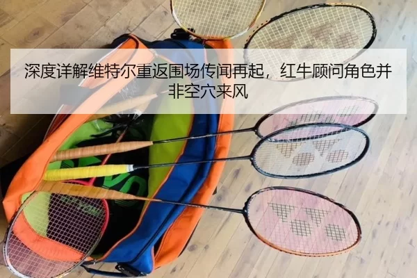 shen-du-xiang-jie-wei-te-er-chong-fan-wei-chang-chuan-wen-zai-qi-hong-niu-gu-wen-jue-se-bing-fei-kong-xue-lai-feng-2-443.jpg