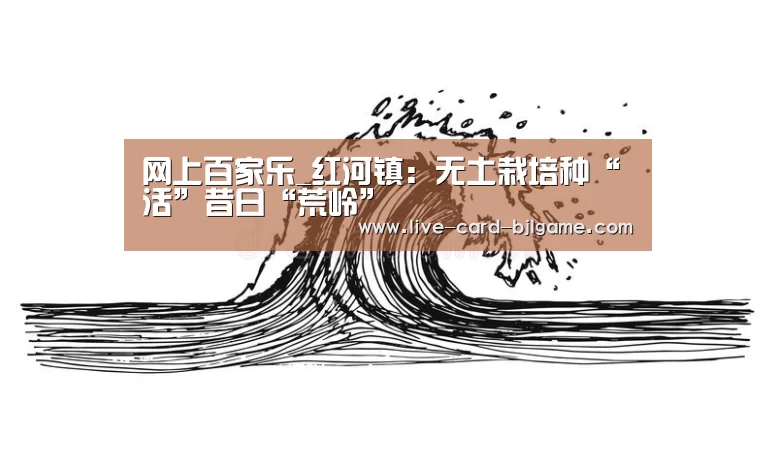 网上百家乐_红河镇:无土栽培种“活”昔日“荒岭”(图3) 网上百家乐