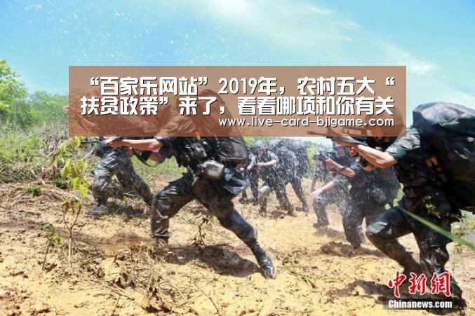 “百家乐网站”2019年,农村五大“扶贫政策”来了,看看哪项和你有关?(图1) 网上百家乐