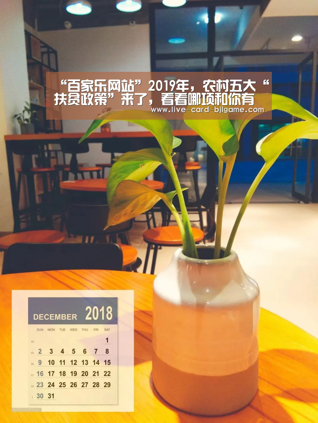 “百家乐网站”2019年,农村五大“扶贫政策”来了,看看哪项和你有关?(图4) 百家乐网站